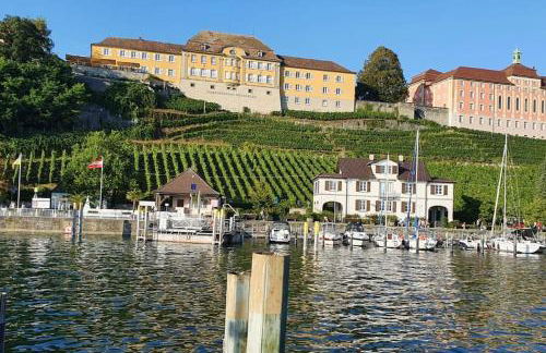 fewo-apfelbluete-bodensee - Foto 2