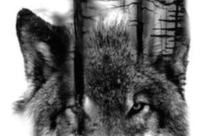 Zagroda Wataha 782 305 923 - Foto 38