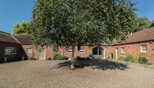 Silverbirch - Foto 2