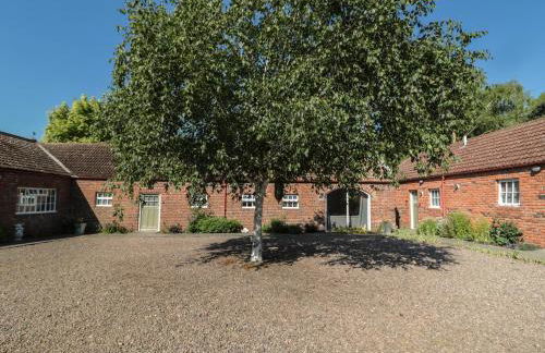 Silverbirch - Foto 2