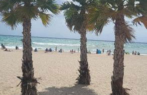 El Soleado El Rincon - Foto 48