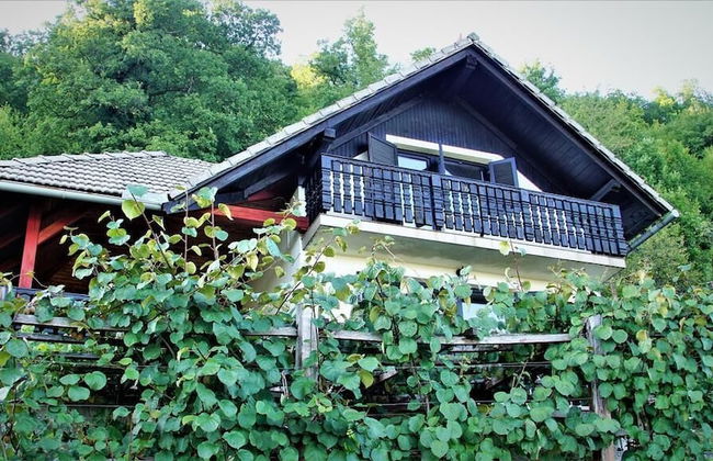 Vineyard Cottage Zajc - Photo 1