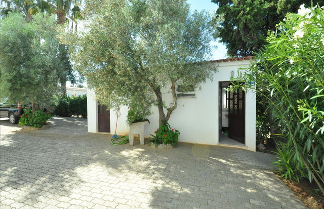 Flor da Laranja - Foto 5