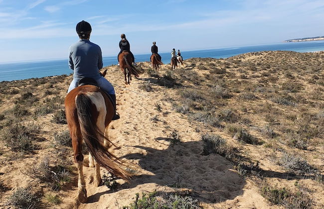 Quinta Pedra dos Bicos - Foto 26