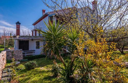 Apartments Cvita Ugljan - Foto 11