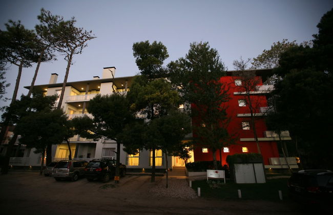 Avutarda de Carilo - Photo 65