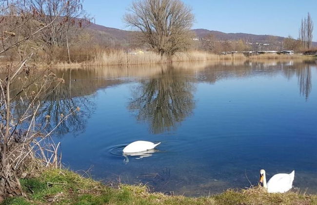 Lovely Apartment in Hesse - Foto 22