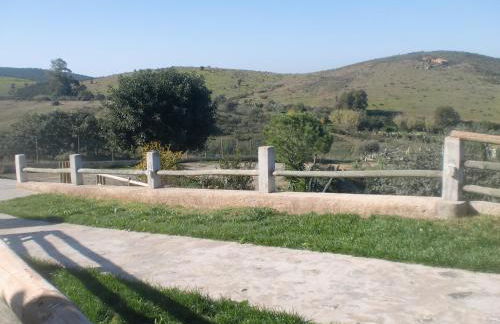 Horta da Quinta - Foto 58