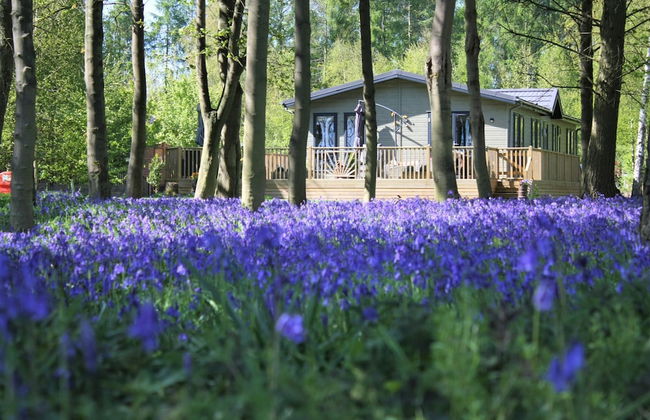 Hollicarrs - Wildflower Lodge - Foto 25