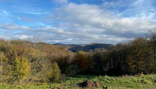 Ferienhaus auffm Hebberg - Foto 5