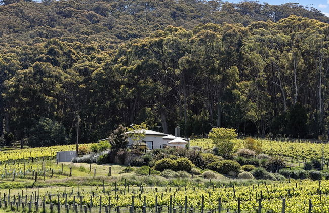 Esto House - Foto 26