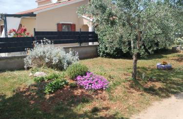 Apartman Grbić - Photo 21