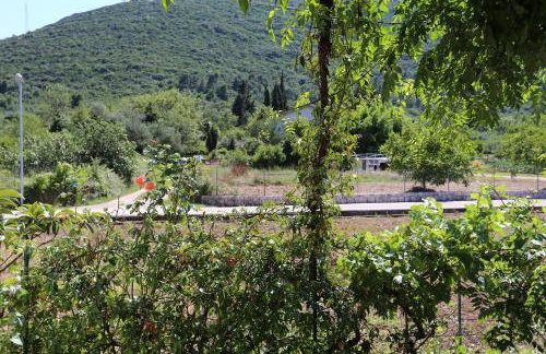 Apartments by the sea Ston, Peljesac - 10226 - Foto 24