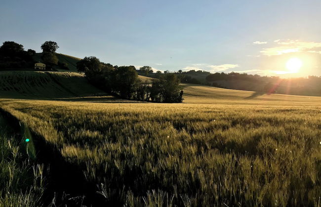 Ancient Country House With Swimming Pool - Foto 44