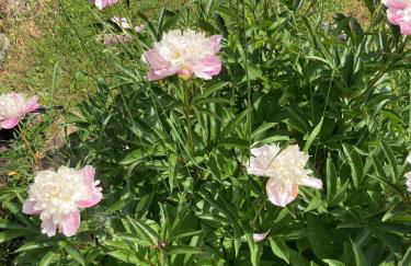 Chambre d'Aut' - Foto 29