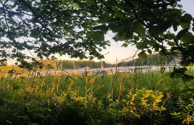 4 Person Holiday Home in Ingaro-by Traum - Photo 11