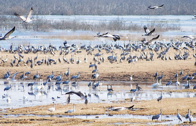 Holiday Home in Vara - Photo 20