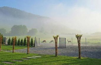 Domek pod Sosnową Górą - Foto 14