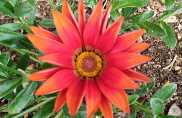 Holiday house "Dolka" - Photo 13