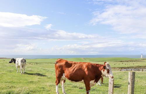 Corsewall Castle Farm Lodges - Foto 52