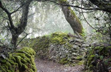 Casa de Piedras by SIERRA VIVA desing - Foto 21