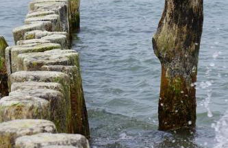 Haffblick im Reetdachhaus am Haff - Foto 25
