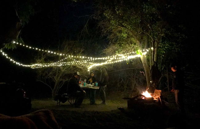 Noite em acampamento suspenso do oásis de Pica - Foto 3