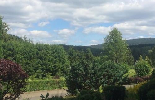 Eulennestchen-Harz Fewo S1 oder L2 Für Single, Paar oder Familie & Hund Oberharz - Foto 1