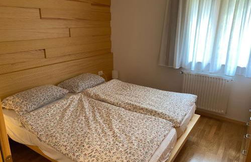 Maso Genziana - Foto 4