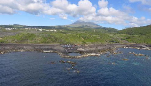 A Casa da Silva - Photo 4