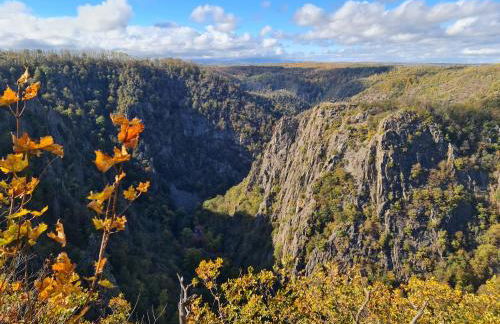 Ferienwohnungen Fam. Bartl - Foto 13