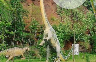 Appartements 4U Rodenbach - Foto 48