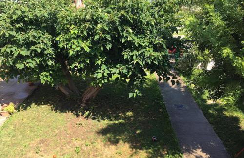 la casa d’ Irene - Foto 9