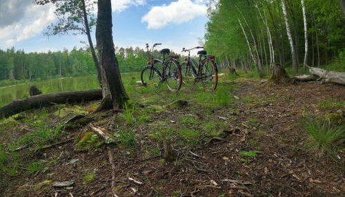 Faryna Apartament - Foto 2