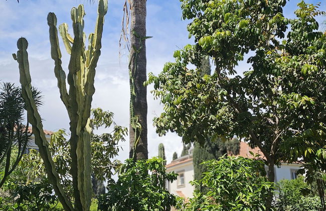 122 VOR - Stay Cactus House - Foto 3