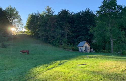 The Creek Cabin at Sky Hollow - Foto 31