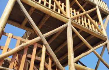 Studio Arte e Natureza - Photo 17