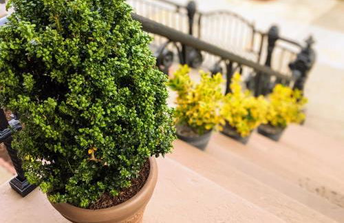 Luxury duplex in 1880s brownstone w private garden - Foto 16