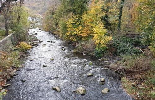 FeWo am Moorteich - Foto 23