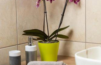 MLADENKA apartment - Photo 29