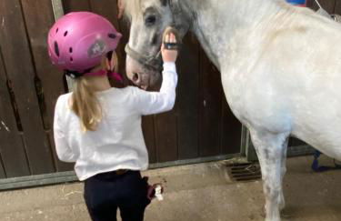 Heidegut Eschede Reitsportanlage und Feriendorf - Foto 48