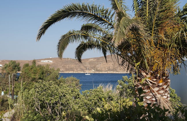 Serifos Houses Livadakia - Foto 40