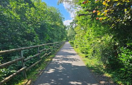Natur-Design "Platzhirsch Sauerland" - Sauna, Kamin, Balkon, Garten, Hütte, Grill - Foto 63