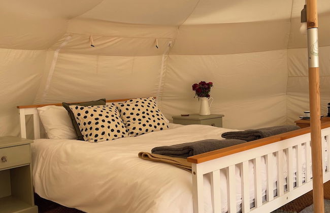 Nest and Nurture - Photo 14