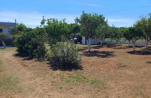 Sofia's Yard House - Foto 49