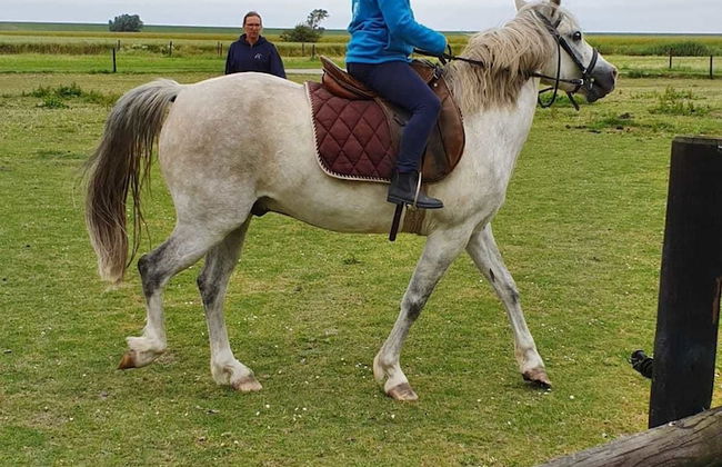 Ferienhof Schild - Foto 29