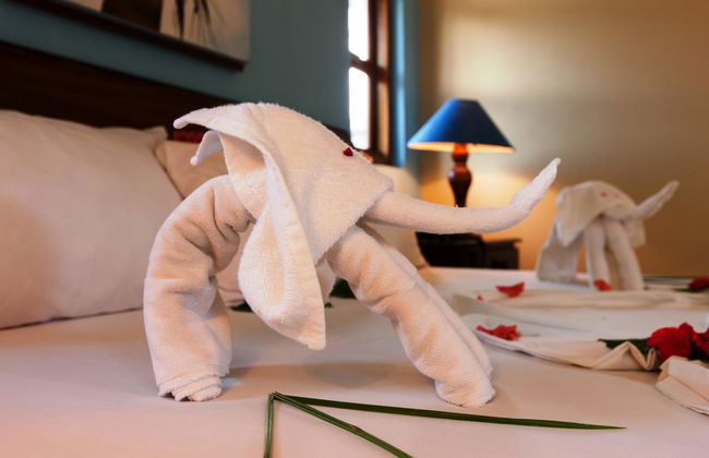 Le Relax Self Catering Apartment - Foto 20