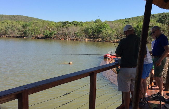 Buccara Waterberg - Molapo - Photo 71