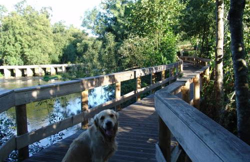 Quinta de Santa Marinha - Foto 75