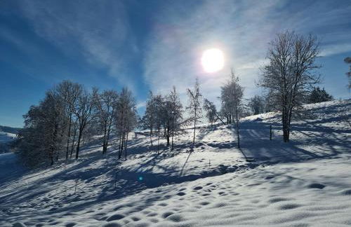 Haus Föhrenbach - Foto 28